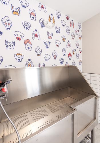 a stainless steel counter top in a kitchen with a sink